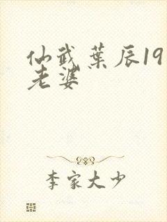 仙武叶辰19位老婆封面