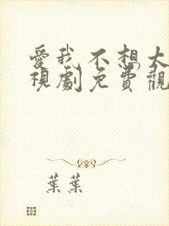 爱我不想太多电视剧免费观看全集