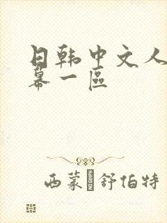 日韩中文人妻字幕一区