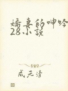 娇妻的呻吟1—28小说