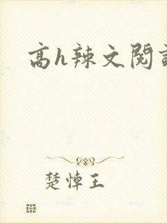 高h辣文阅读
