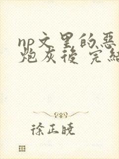 np文里的恶毒炮灰后 完结 番外