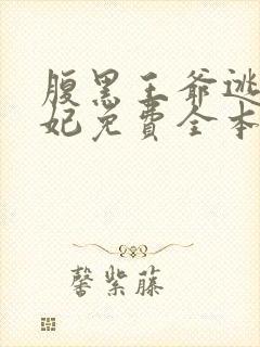 腹黑王爷逃跑王妃免费全本小说封面
