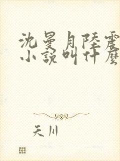 沈曼月陆震霆的小说叫什么
