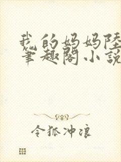 我的妈妈陆梦妍笔趣阁小说封面