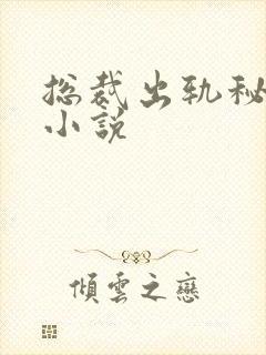 总裁出轨秘书的小说封面