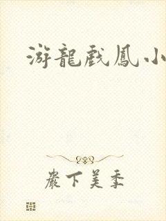游龙戏凤小说