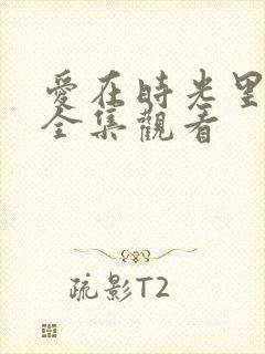 爱在时光里流转全集观看封面