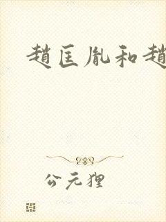 赵匡胤和赵匡义