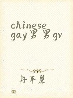 chinesegay男男gv封面