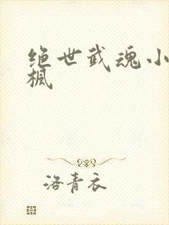 绝世武魂小说陈枫