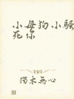 小母狗小骚货操死你