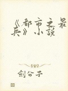 《都市之最强狂兵》小说