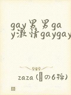 gay男男gay激情gaygay