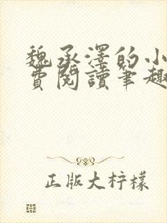 魏承泽的小说免费阅读笔趣阁