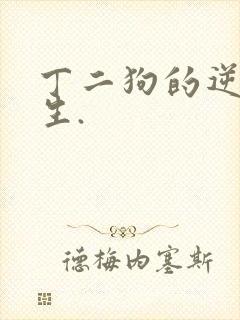 丁二狗的逆袭人生.