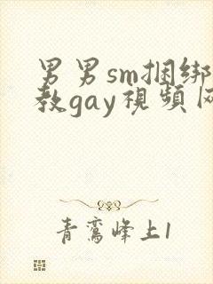 男男sm捆绑调教gay视频网站