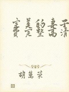 完美的妻子4免费完整高清电视剧在线看封面