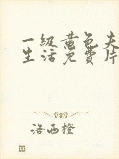 一级黄色夫妻性生活免费片