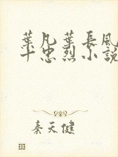 叶凡叶长风一门十忠烈小说