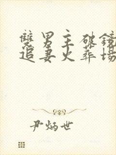 双男主破镜重圆追妻火葬场
