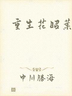 重生花昭叶深封面