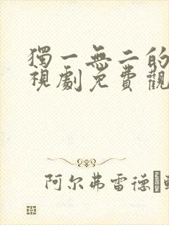 独一无二的她电视剧免费观看全集