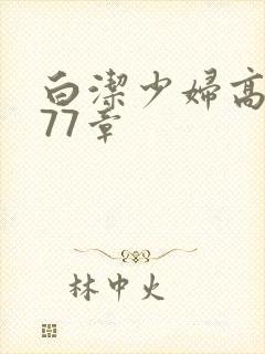 白洁少妇高义第77章