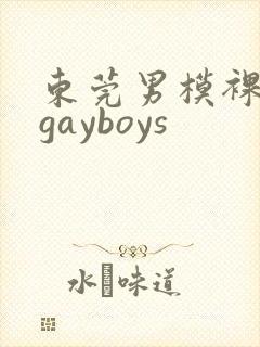 东莞男模裸体男gayboys