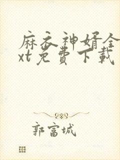 麻衣神婿全文txt免费下载