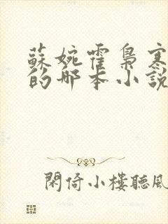 苏婉霍枭寒模仿的哪本小说
