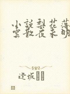 小说梨花落尽,云散夜未明封面