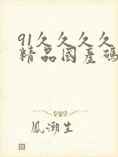 91久久久久久精品国产码