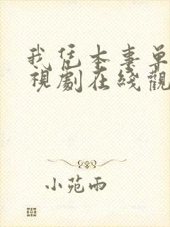 我凭本事单身电视剧在线观看全集免费播放