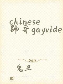 chinese帅哥gayvideo