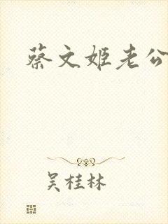 蔡文姬老公