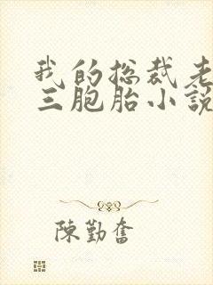 我的总裁老婆是三胞胎小说封面