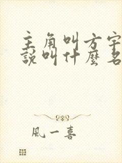 主角叫方宇的小说叫什么名字