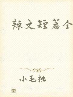 辣文短篇全集封面
