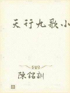 天行九歌小说