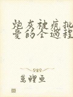 炮灰被疯批强制爱的全过程np【快/穿