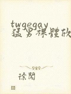 twgegay猛男裸体欣赏