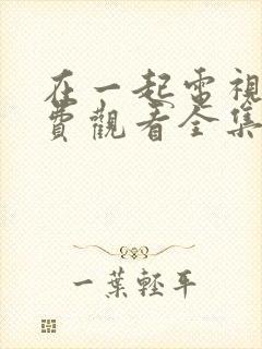 在一起电视剧免费观看全集完整版
