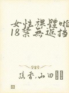 女性裸体啪啪拍18禁无遮挡动态图片