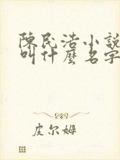 陈民浩小说主角叫什么名字