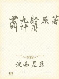 君九龄原著小说叫什么封面