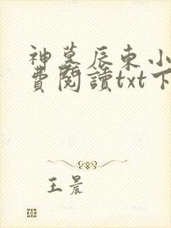 神墓辰东小说免费阅读txt下载