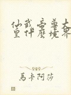 仙武帝尊大楚九皇什么境界