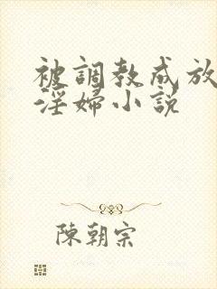 被调教成放荡小淫妇小说