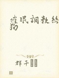 催眠调教丝袜母狗